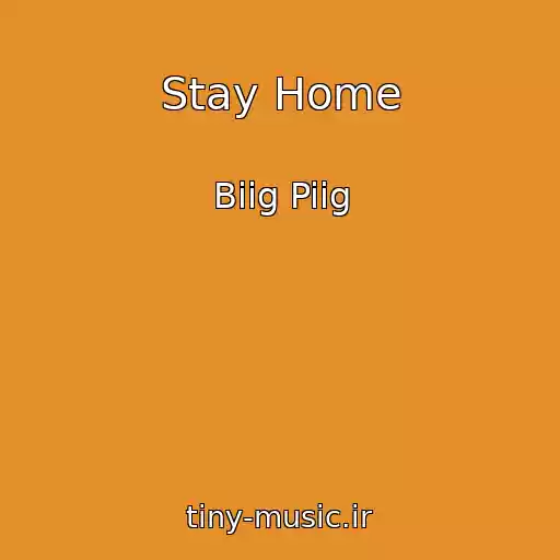 کاور آهنگ Stay Home از Biig Piig