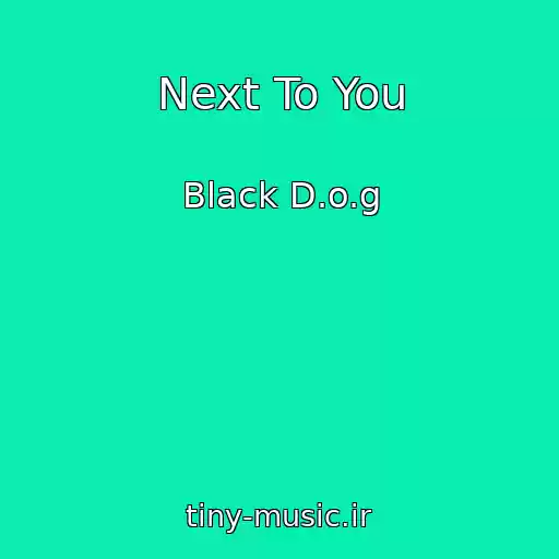 کاور آهنگ Next To You از Black D.o.g