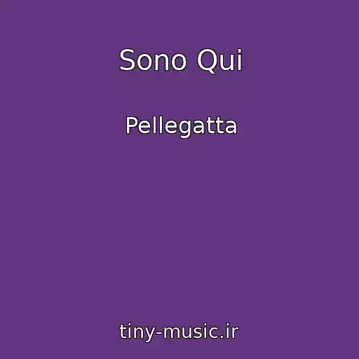 کاور آهنگ Sono Qui از Pellegatta