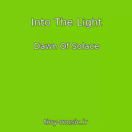 کاور آهنگ Into The Light از Dawn Of Solace
