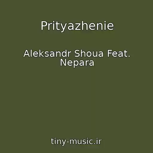 کاور آهنگ Prityazhenie از Aleksandr Shoua Feat. Nepara