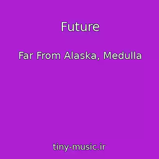 کاور آهنگ Future از Far From Alaska, Medulla