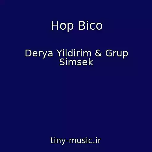 کاور آهنگ Hop Bico از Derya Yildirim & Grup Simsek