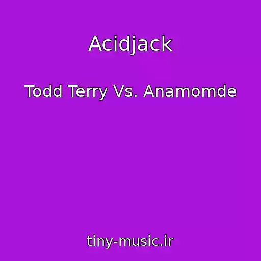 کاور آهنگ Acidjack از Todd Terry Vs. Anamomde