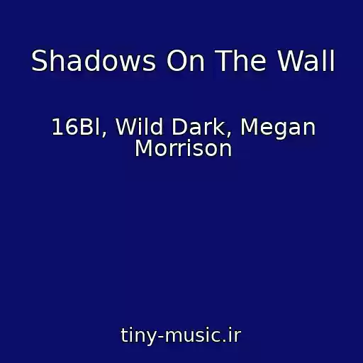 کاور آهنگ Shadows On The Wall از 16Bl, Wild Dark, Megan Morrison