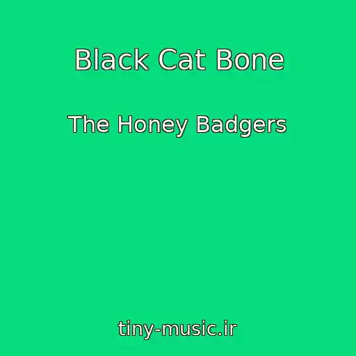 کاور آهنگ Black Cat Bone از The Honey Badgers
