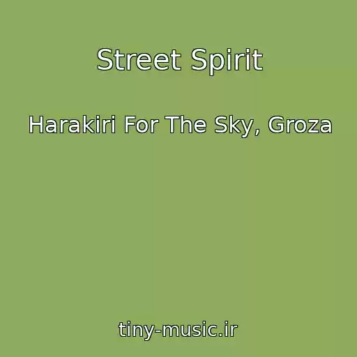 کاور آهنگ Street Spirit از Harakiri For The Sky, Groza