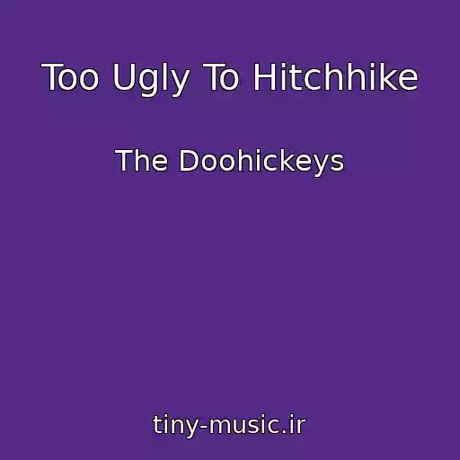 کاور آهنگ Too Ugly To Hitchhike از The Doohickeys