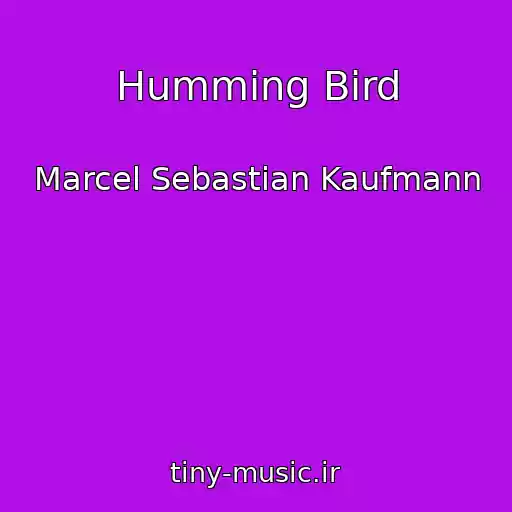 کاور آهنگ Humming Bird از Marcel Sebastian Kaufmann