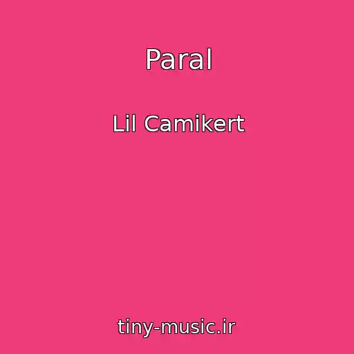 کاور آهنگ Paral از Lil Camikert
