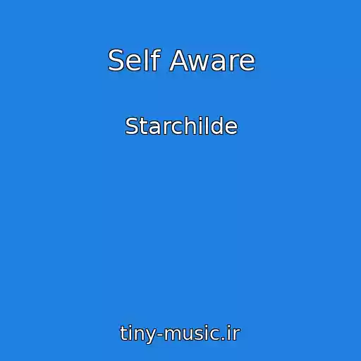 کاور آهنگ Self Aware از Starchilde