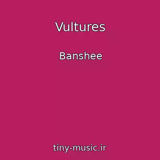 کاور آهنگ Vultures از Banshee