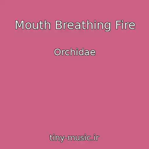 کاور آهنگ Mouth Breathing Fire از Orchidae