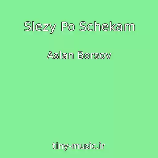کاور آهنگ Slezy Po Schekam از Aslan Borsov