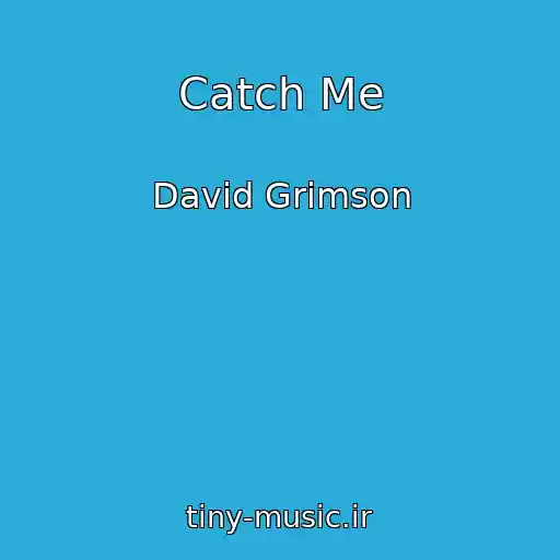 کاور آهنگ Catch Me از David Grimson