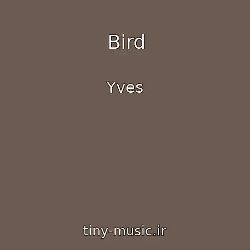 کاور آهنگ Bird از Yves