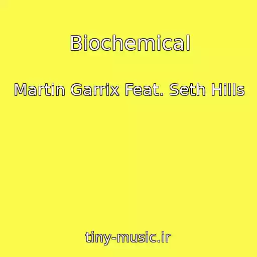 کاور آهنگ Biochemical از Martin Garrix Feat. Seth Hills