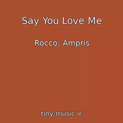 کاور آهنگ Say You Love Me از Rocco; Ampris