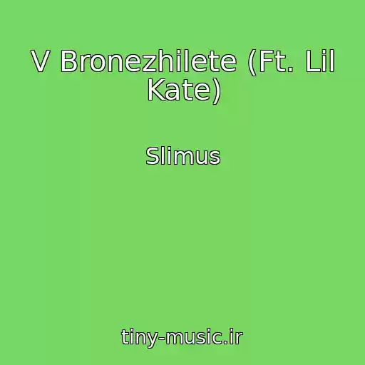 کاور آهنگ V Bronezhilete (Ft. Lil Kate) از Slimus