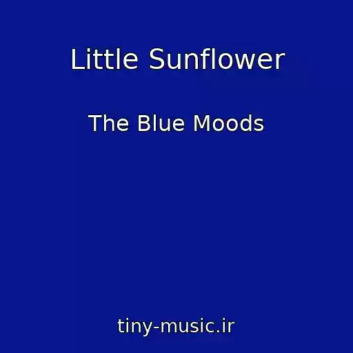 کاور آهنگ Little Sunflower از The Blue Moods