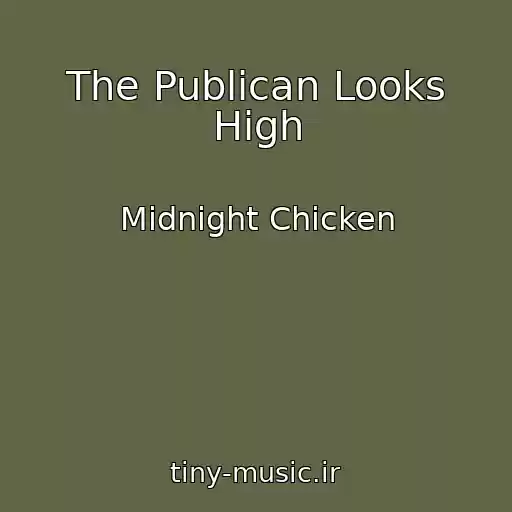 کاور آهنگ The Publican Looks High از Midnight Chicken