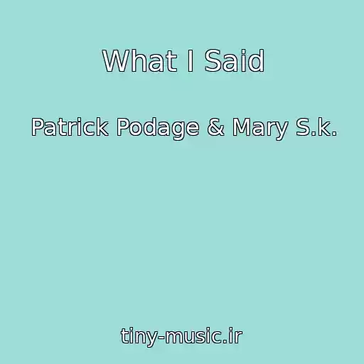 کاور آهنگ What I Said از Patrick Podage & Mary S.k.