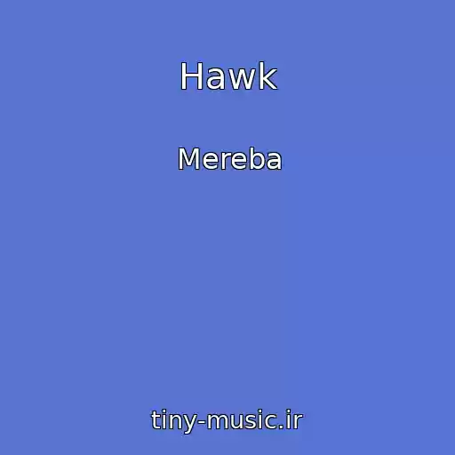 کاور آهنگ Hawk از Mereba