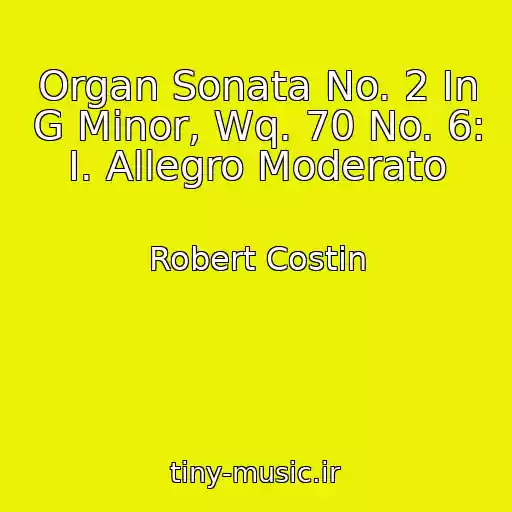 کاور آهنگ Organ Sonata No. 2 In G Minor, Wq. 70 No. 6: I. Allegro Moderato از Robert Costin