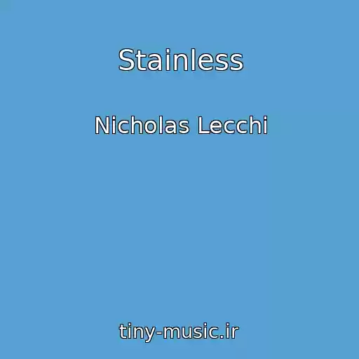 کاور آهنگ Stainless از Nicholas Lecchi