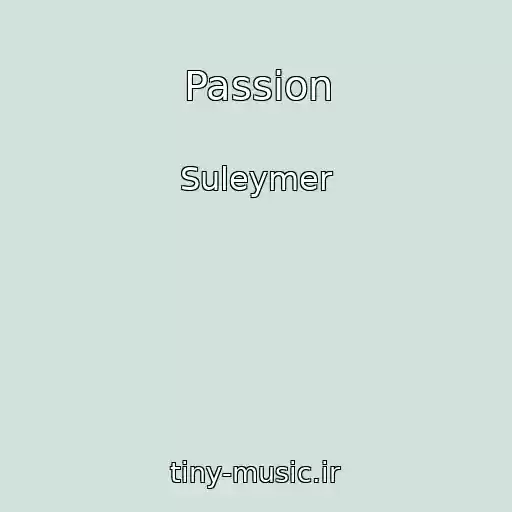 کاور آهنگ Passion از Suleymer