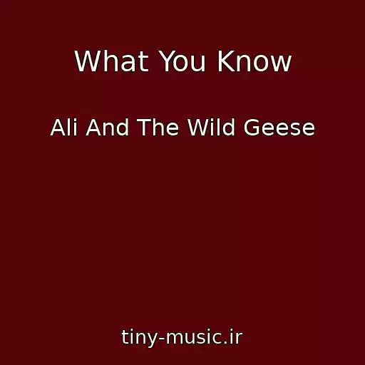 کاور آهنگ What You Know از Ali And The Wild Geese