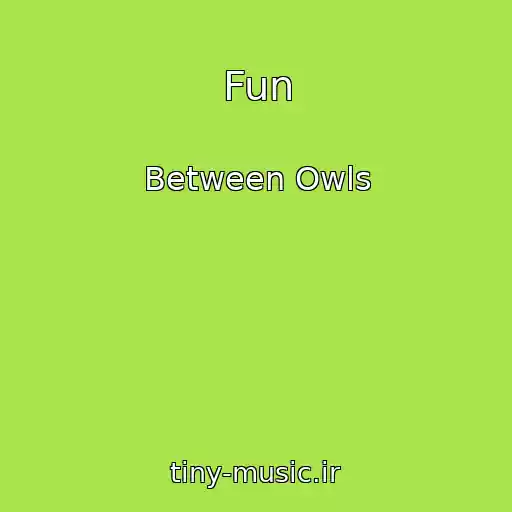 کاور آهنگ Fun از Between Owls