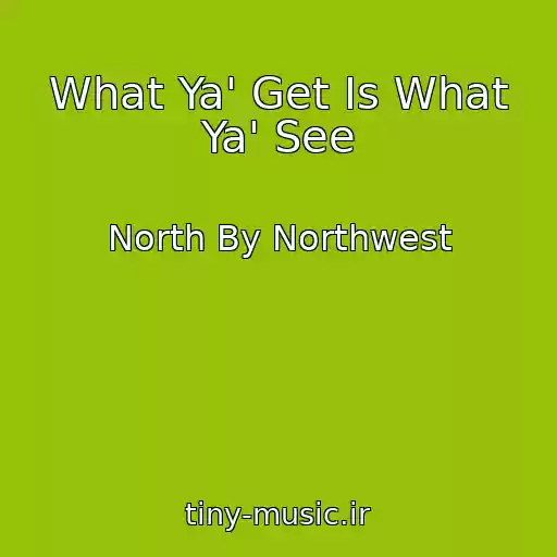 کاور آهنگ What Ya' Get Is What Ya' See از North By Northwest
