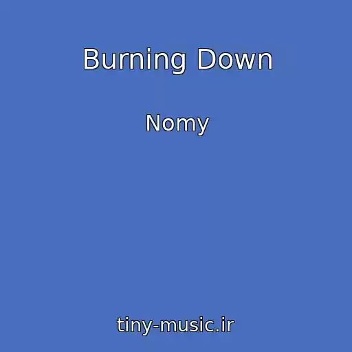 کاور آهنگ Burning Down از Nomy