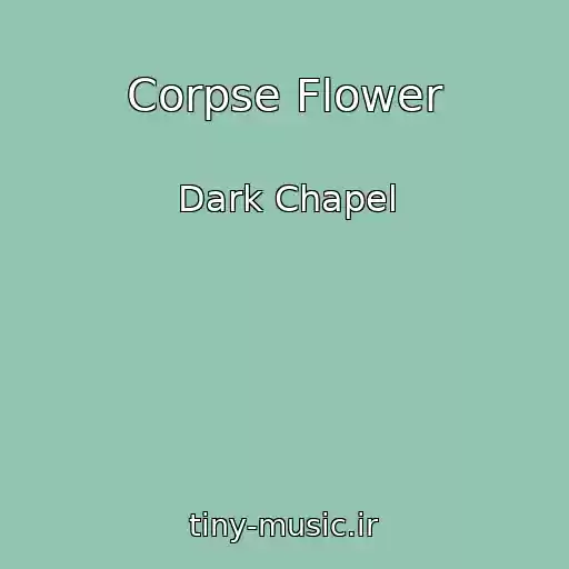 کاور آهنگ Corpse Flower از Dark Chapel