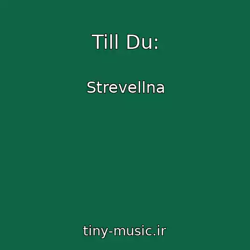 کاور آهنگ Till Du: از Strevellna