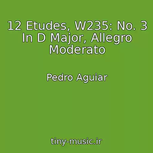 کاور آهنگ 12 Etudes, W235: No. 3 In D Major, Allegro Moderato از Pedro Aguiar