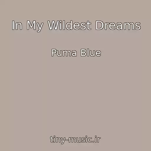 کاور آهنگ In My Wildest Dreams از Puma Blue