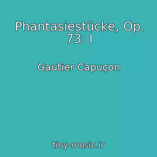 کاور آهنگ Phantasiestücke, Op. 73: I از Gautier Capuçon