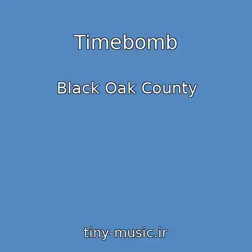 کاور آهنگ Timebomb از Black Oak County