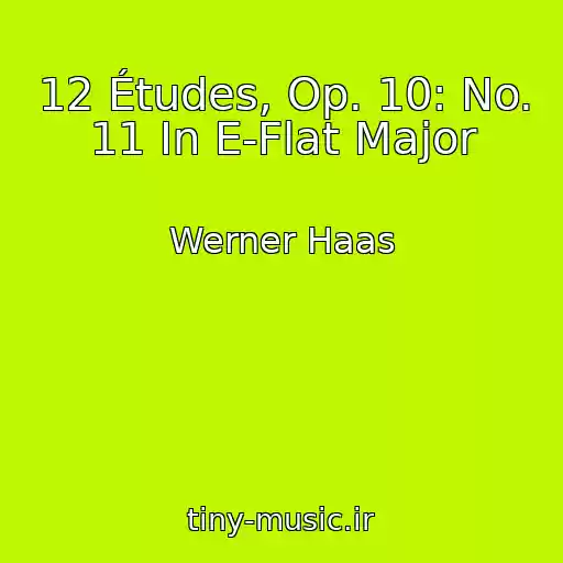 کاور آهنگ 12 Études, Op. 10: No. 11 In E-Flat Major از Werner Haas
