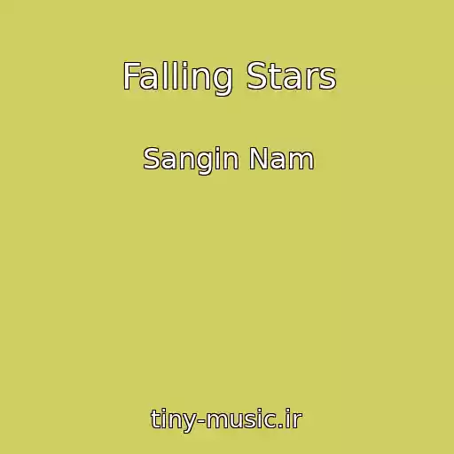 کاور آهنگ Falling Stars از Sangin Nam