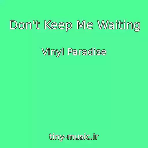 کاور آهنگ Don't Keep Me Waiting از Vinyl Paradise