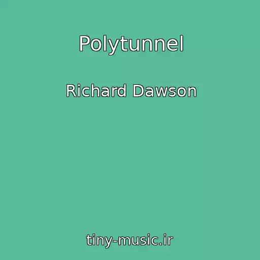 کاور آهنگ Polytunnel از Richard Dawson