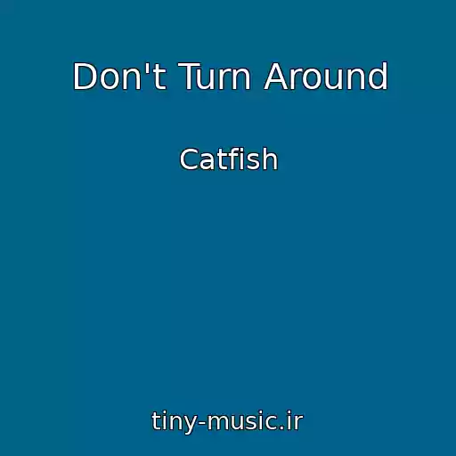 کاور آهنگ Don't Turn Around از Catfish