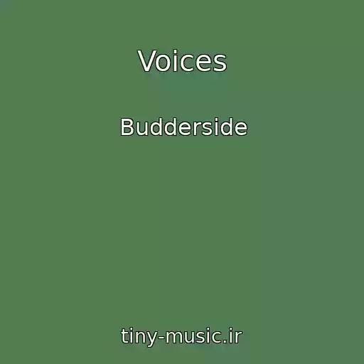 کاور آهنگ Voices از Budderside