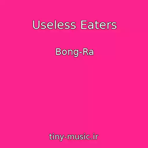 کاور آهنگ Useless Eaters از Bong-Ra