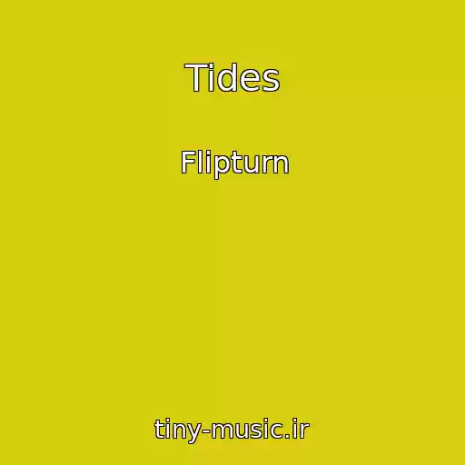 کاور آهنگ Tides از Flipturn