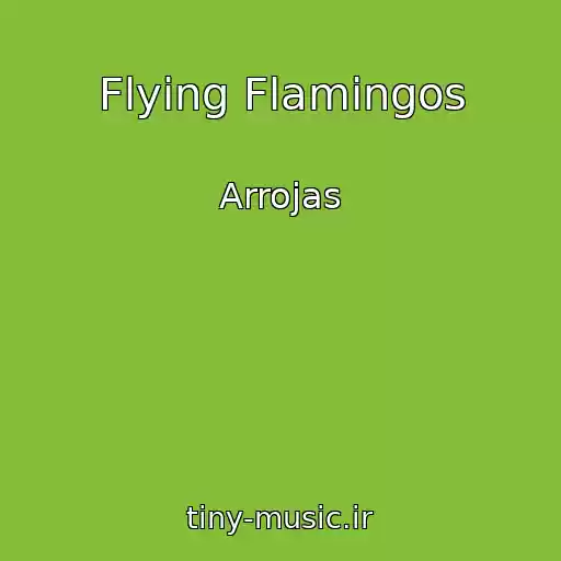 کاور آهنگ Flying Flamingos از Arrojas