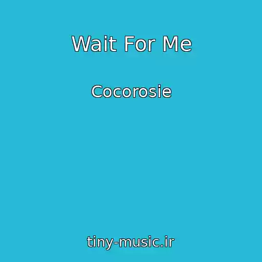 کاور آهنگ Wait For Me از Cocorosie